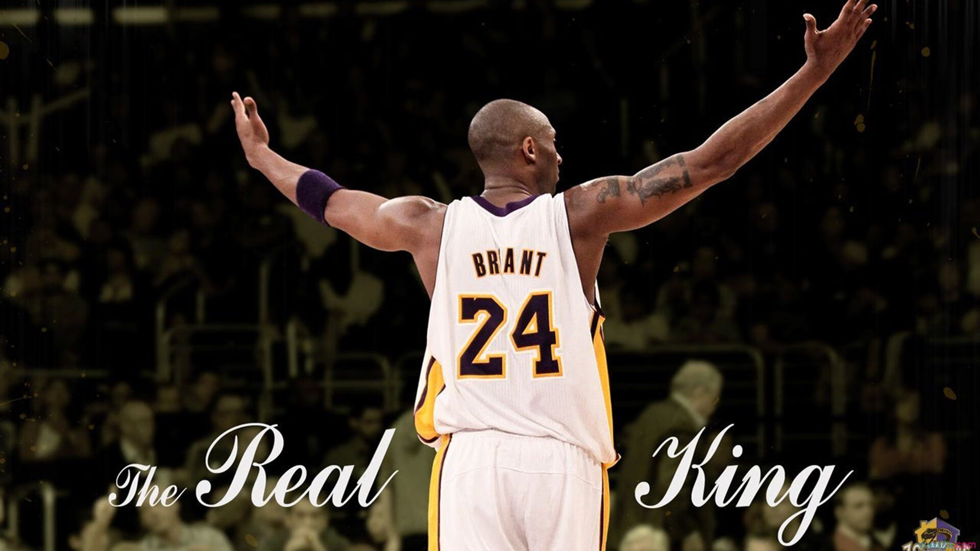 蓝军客场负于布莱顿,遭遇双杀,蓝军指的是哪个球队