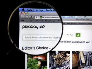 体育新闻中心发布体育短视频传播效果白皮书，体育短视频成为平台和用户的新宠